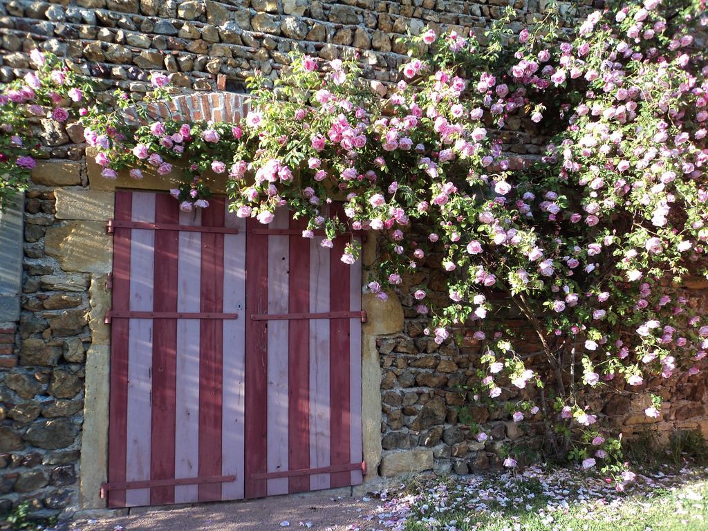 Chambres D'Hotes La Vie En Roses Iguerande Екстериор снимка